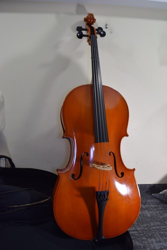 2013 samuel eastman vc80 2 - eastman, 1/2